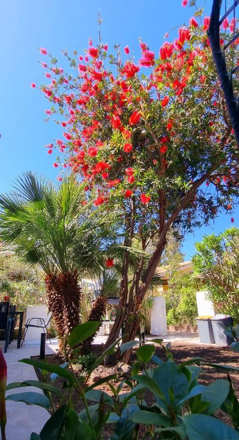 La Villetta Tre Palme 발레도리아 외부 사진